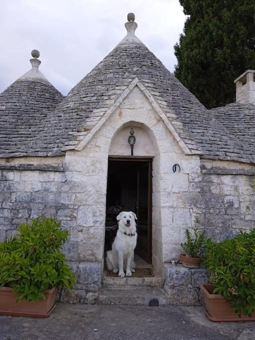 Gasphouse Villa Castellana Grotte Kültér fotó