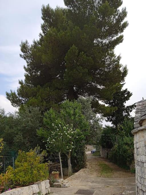 Gasphouse Villa Castellana Grotte Kültér fotó