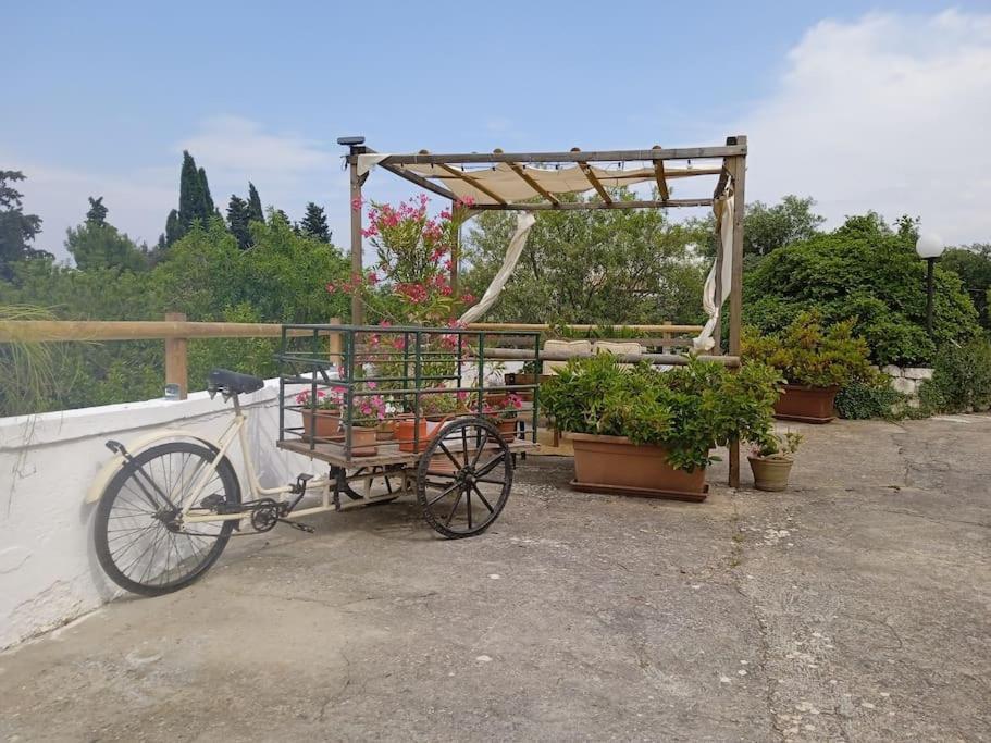 Gasphouse Villa Castellana Grotte Kültér fotó